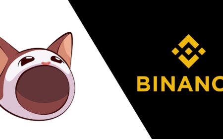 POPCAT spikes 23% on Binance perpetual listing announcement