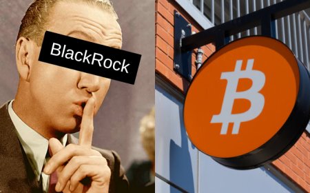 BlackRock Has Acquired 359,000 Bitcoin Worth $23 Billion in 2024 Buying Spree