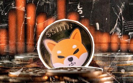 Just 45 Addresses Control 128.99 trillion Worth of SHIB: What It Means for the Meme Token