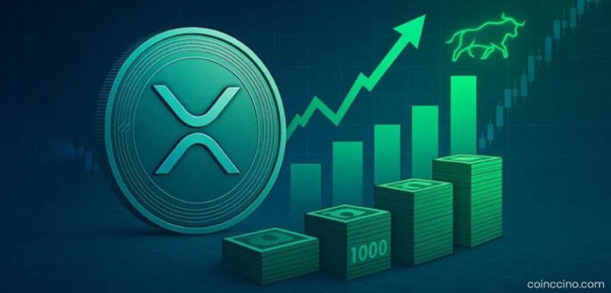 XRP Could Double Its Market Share in Crypto ETFs, Veteran Predicts