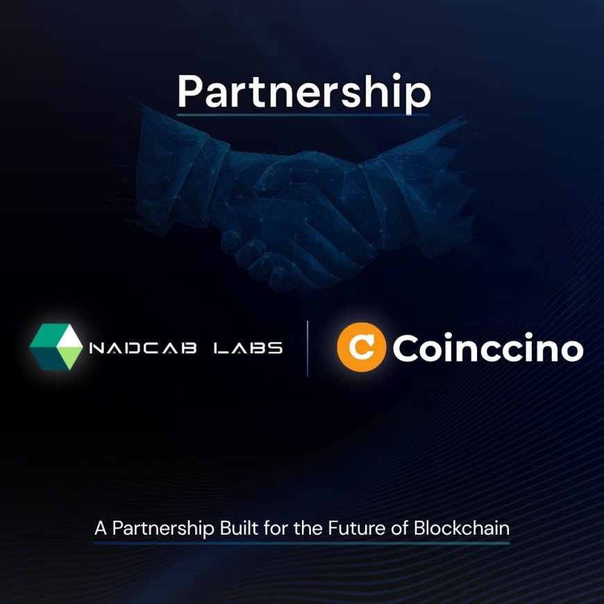 Coinccino Joins Forces with Nadcab Labs for a Strategic Digital Media Partnership