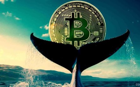 Whale Sell-Off of 115,000 BTC Slows, Market Shows Resilience