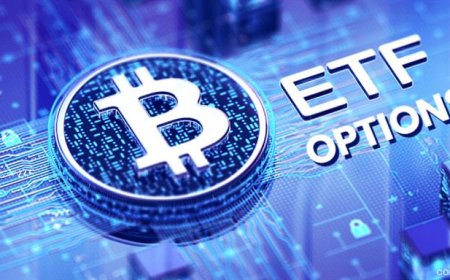 Bitcoin ETF Inflows Return—Could Institutional Capital Ignite a New Rally?
