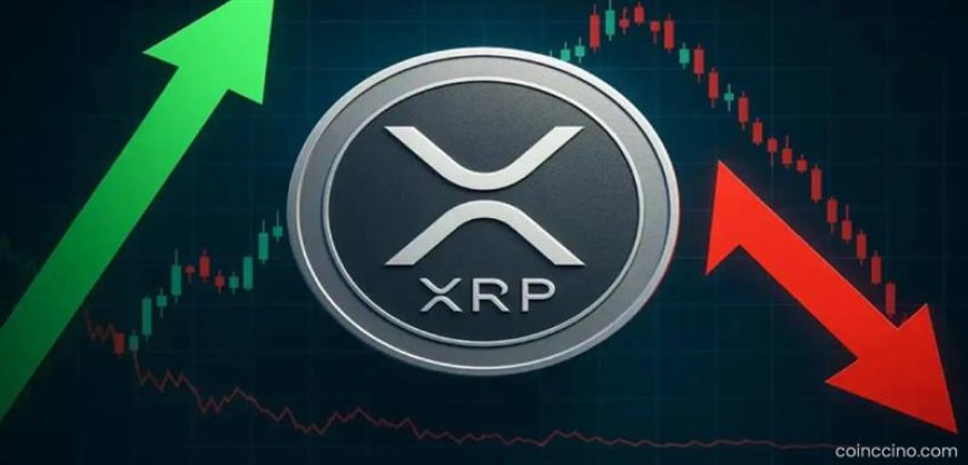 Digital Ascension CEO Says XRP Is Unlikely to Crash 90% Again