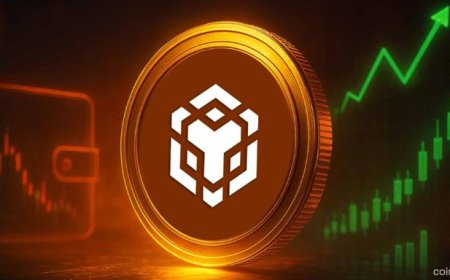 BNB Surges to $1,111 All-Time High as Network Activity & Treasury Demand Intensify