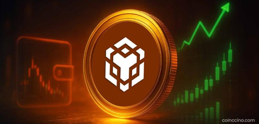 BNB Surges to $1,111 All-Time High as Network Activity & Treasury Demand Intensify