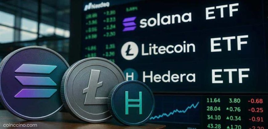 Weak Debut for Solana, Litecoin & HBAR ETFs Signals Caution Among Investors