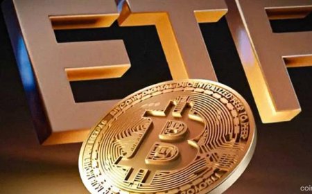 Spot Bitcoin ETFs Face Record Outflows in November as BTC Sinks