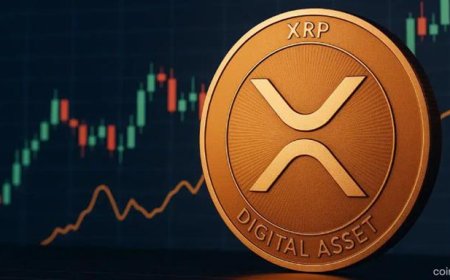 XRP’s Market Cap Surges by Over US$9 B in 24 Hours Amid ETF-Related Inflows