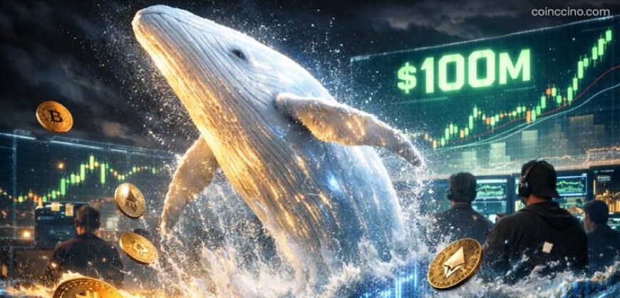 White Whale Memecoin Surges Past $100M Valuation — Retail Frenzy Fuels New Meme Market Wave