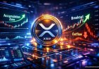 XRP Accumulation Signal: Bulls Quietly Positioning?