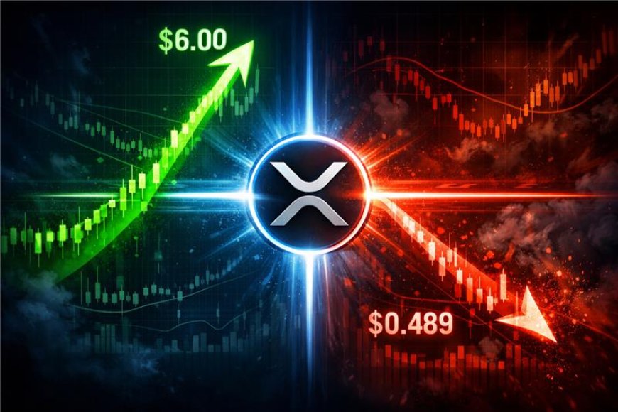 XRP at a Critical Crossroads: Break Toward $6 or Drop to $0.489?