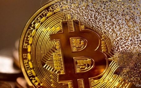 Coinccino Bitcoin Leads $1.1B Crypto Funds Inflow Surge