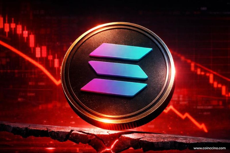 Solana Price Drops 3%: Recovery Signals Ahead?