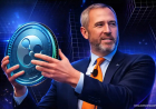 Ripple CEO Explains Why XRP Was Created