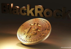 BlackRock Sells $317M Bitcoin as ETF Outflows Surge