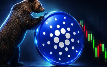 Coinccino Cardano Quietly Stages a Bear Market Comeback