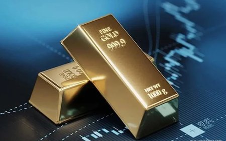 Coinccino Gold Hits Six-Week High as Chinese Demand Fuels Rally